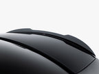 Spoiler CAP Mercedes-AMG CLS 53 C257