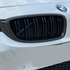 BMW F80 F82 F32 Carbon Fibre Kidney Grilles | M3 M4 Style