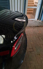 CF Style Carbon Fibre Boot Spoiler for Tesla Model 3 16-23