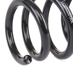 Eibach BMW E60 M5 Pro Kit Lowering Springs