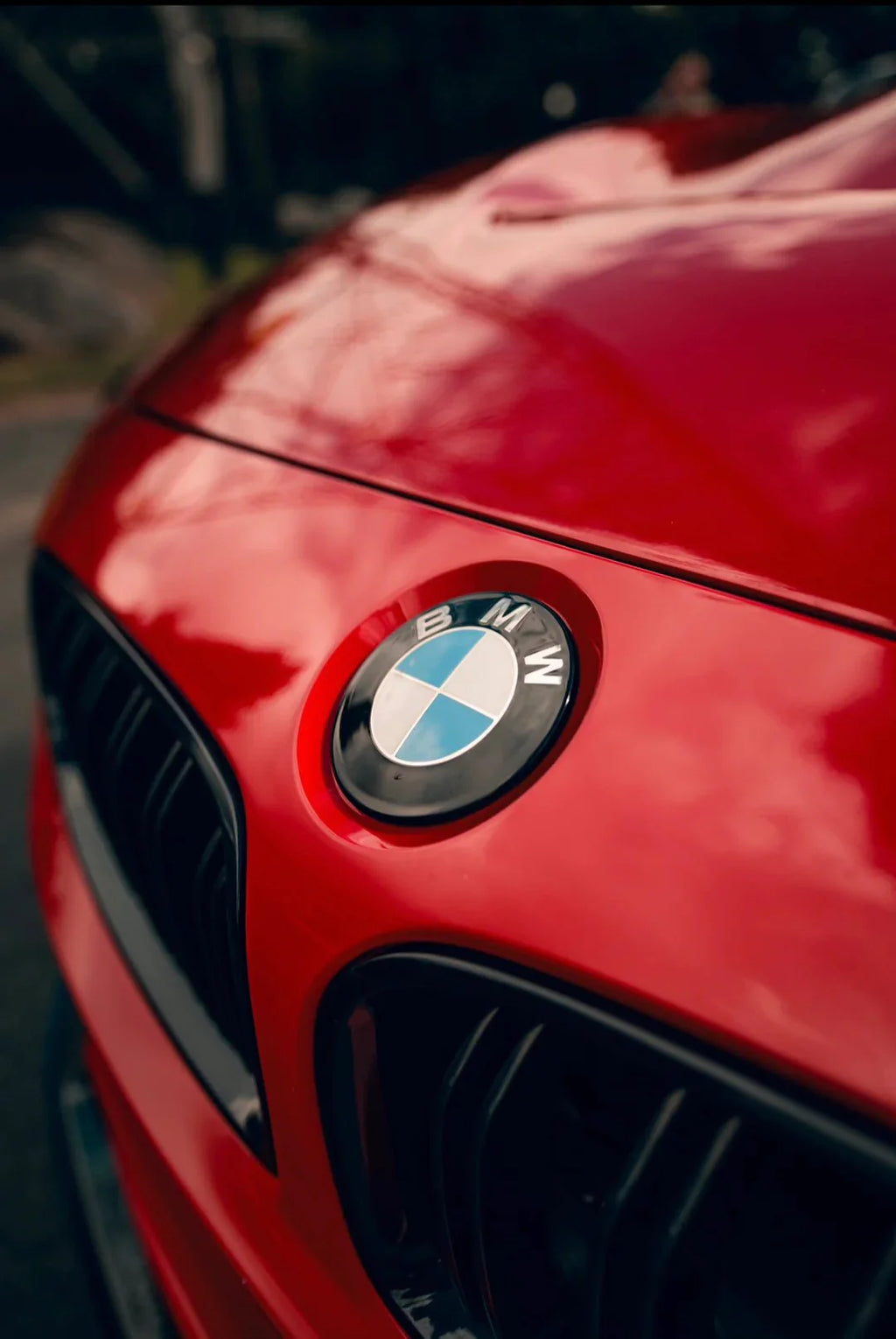 BMW Dechromed Roundels | OEM Black Badge Upgrade