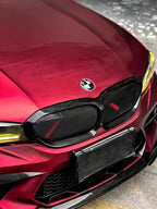 AERO CARBON - BMW 3 SERIES G20 GLOSS BLACK / MESH GRILL