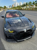 IVANSON - BMW 4 SERIES GRAN COUPE G26 CARBON FIBRE FRONT LIP