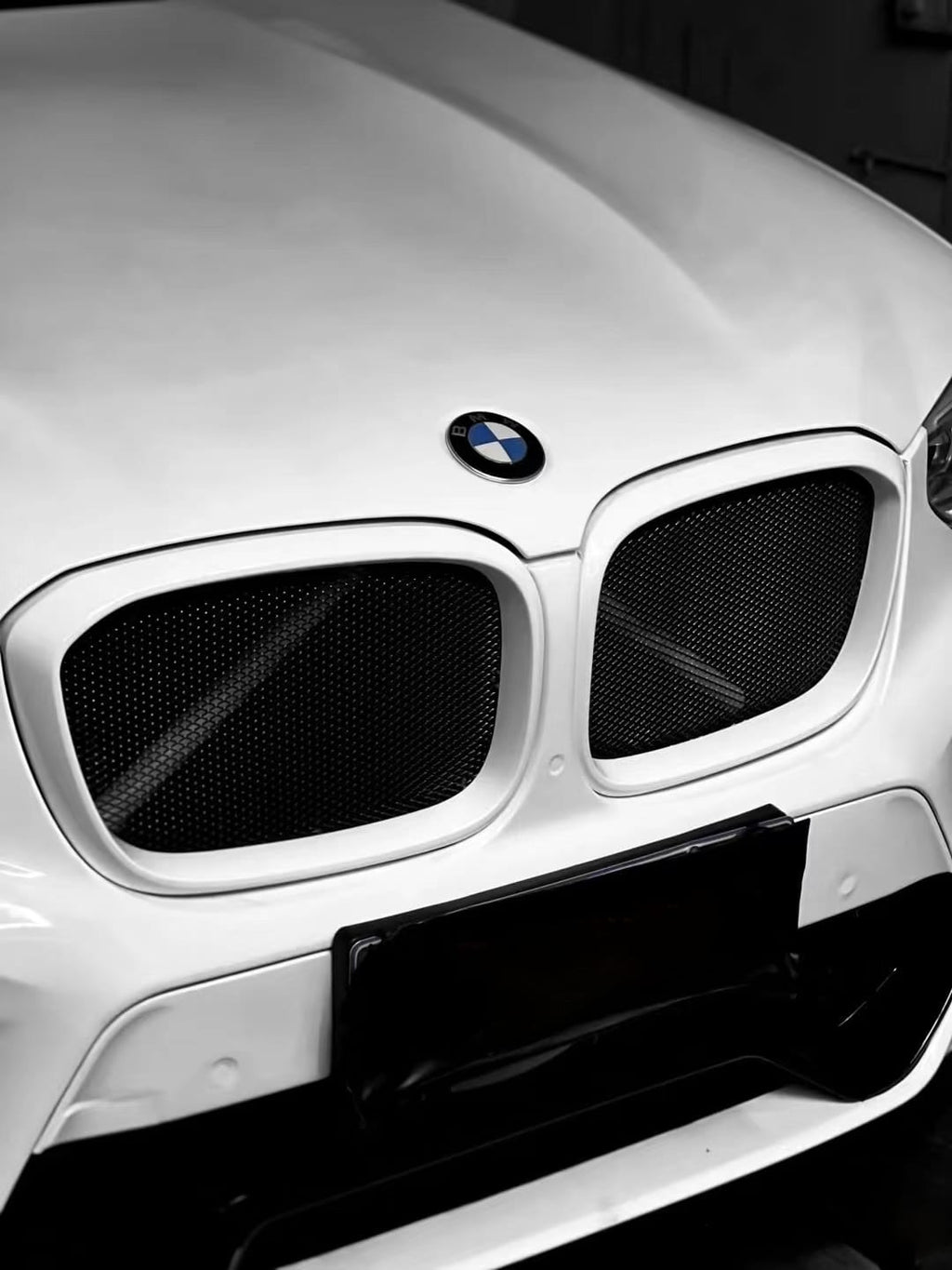 AERO CARBON - BMW X3 G01 / X4 G02 ABS GLOSS BLACK MESH GRILLE