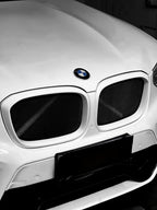 AERO CARBON - BMW X3 G01 / X4 G02 ABS GLOSS BLACK MESH GRILLE