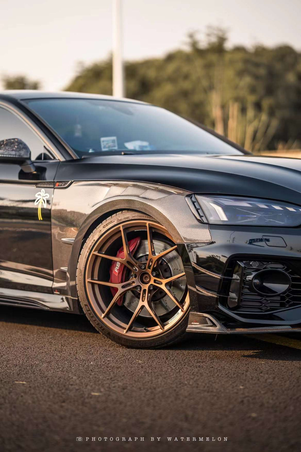 AE DESIGN - AUDI RS5 B9.5 DRY CARBON SIDE FENDERS