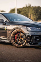 AE DESIGN - AUDI RS5 B9.5 DRY CARBON SIDE FENDERS