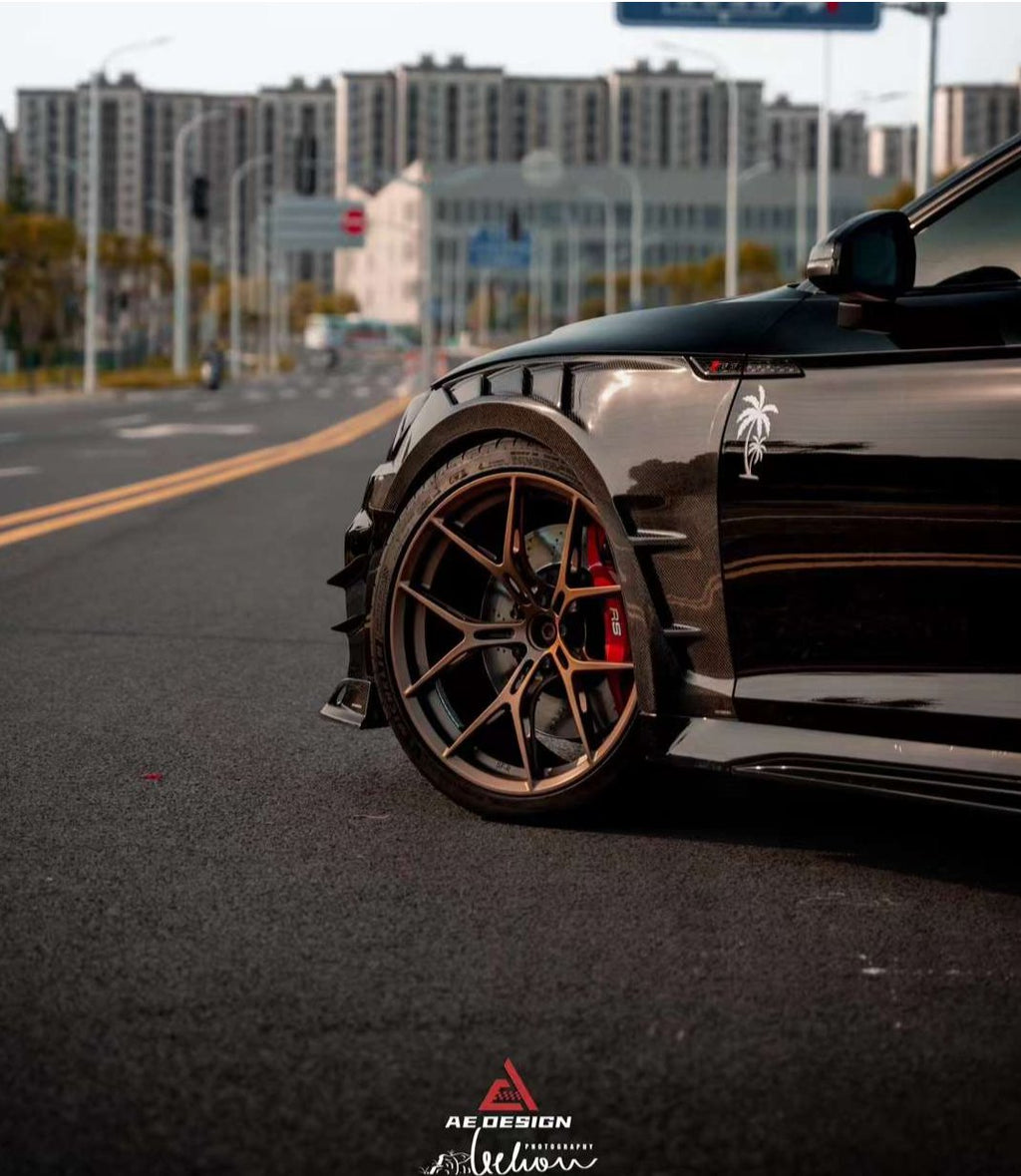 AE DESIGN - AUDI RS5 B9.5 DRY CARBON SIDE FENDERS