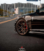 AE DESIGN - AUDI RS5 B9.5 DRY CARBON SIDE FENDERS