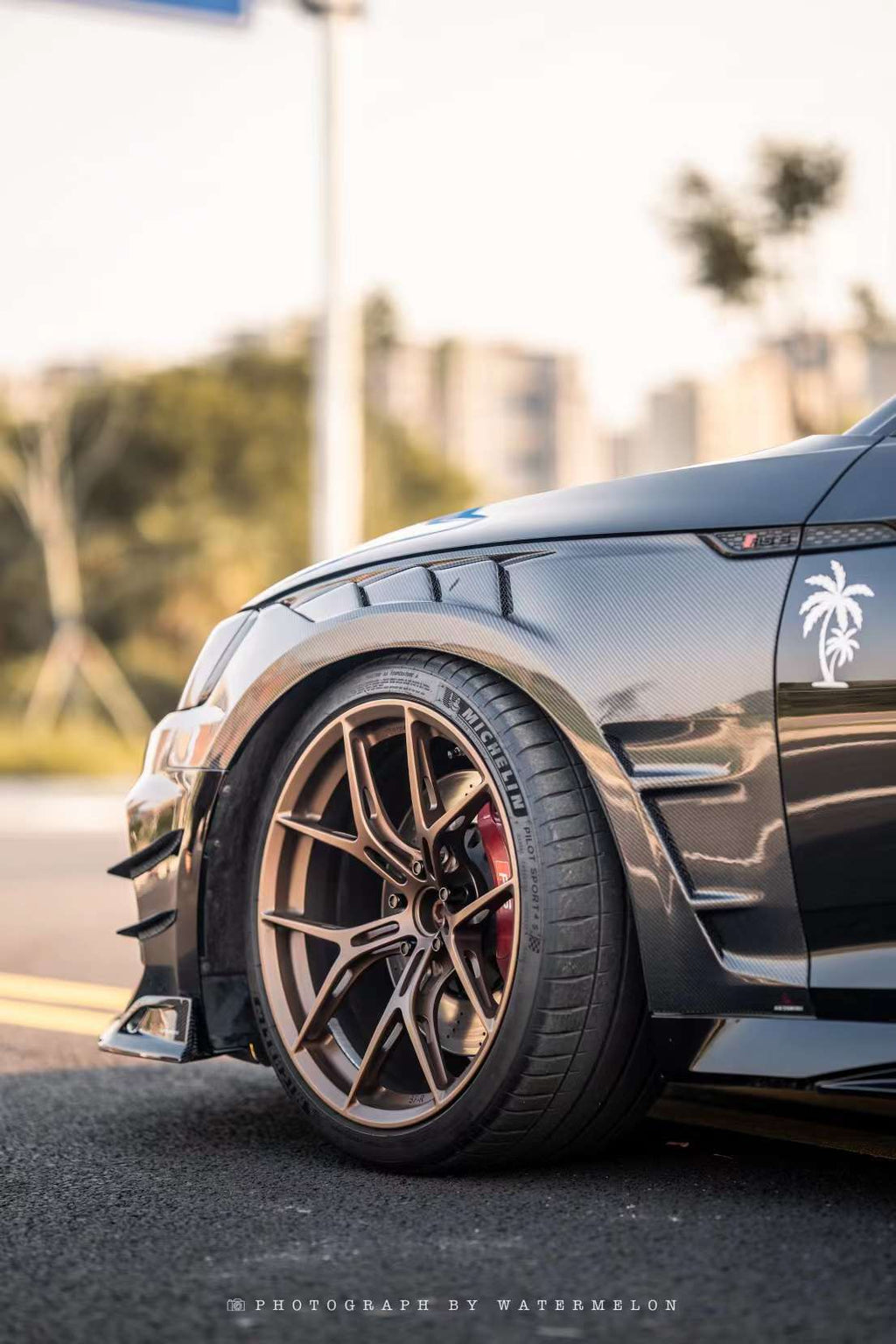 AE DESIGN - AUDI RS5 B9.5 DRY CARBON SIDE FENDERS