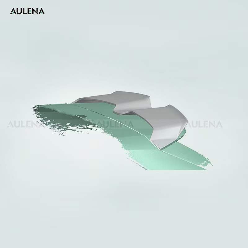 AULENA - AUDI RS3 8Y DRY CARBON FIBRE REAR SPOILER