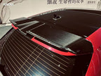 AULENA - AUDI RS3 8Y DRY CARBON FIBRE REAR SPOILER