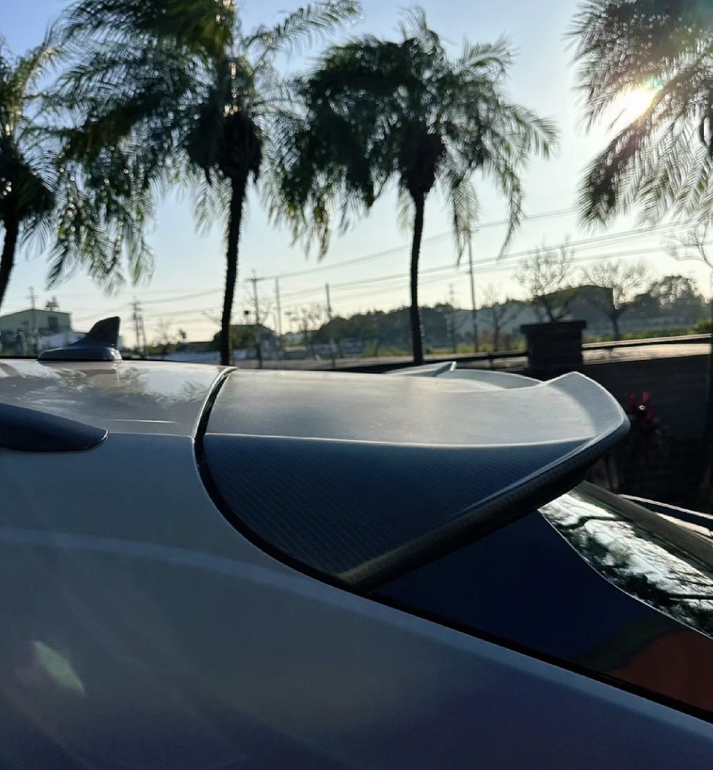 AULENA - AUDI RSQ8 DRY CARBON FIBRE REAR ROOF SPOILER