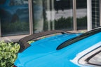 BCTXE - AUDI A4 / S4 B9 B9.5 CARBON FIBRE SPOILER V1