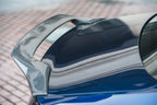 BCTXE - AUDI A4 / S4 B9 B9.5 CARBON FIBRE SPOILER V1