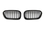 Carbon Fibre Double Slat Kidney Grilles for BMW 1 Series (2015-2019, LCI F20 F21)