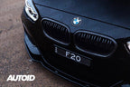 Carbon Fibre Double Slat Kidney Grilles for BMW 1 Series (2015-2019, LCI F20 F21)