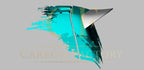 Carbon Fibre Roof Spoiler for Mercedes Benz W447 Vito 16-18