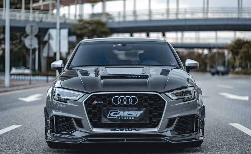 CMST - AUDI RS3 8V CARBON FIBRE FRONT CANNARDS