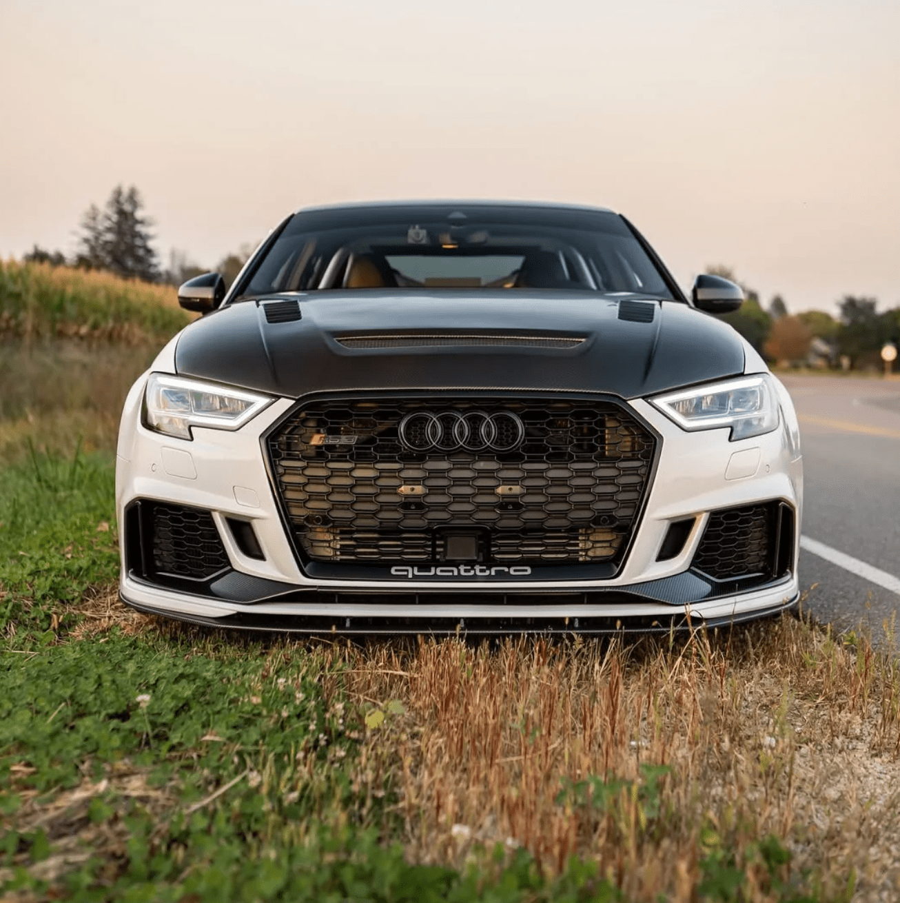 CMST - AUDI RS3 S3 A3 8V CARBON FIBRE BONNET HOOD V2