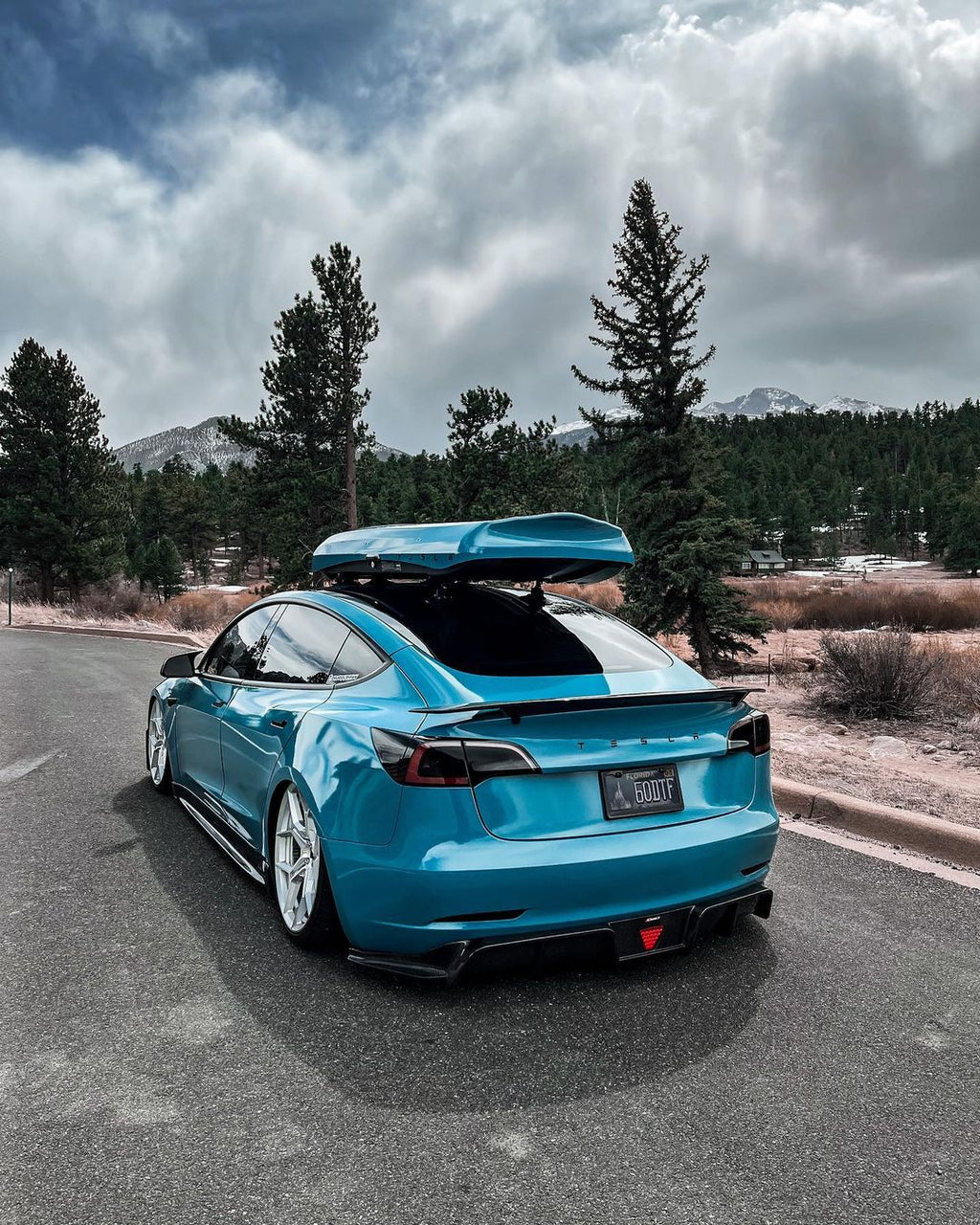 CMST - TESLA MODEL 3 CARBON FIBRE SPOILER V3