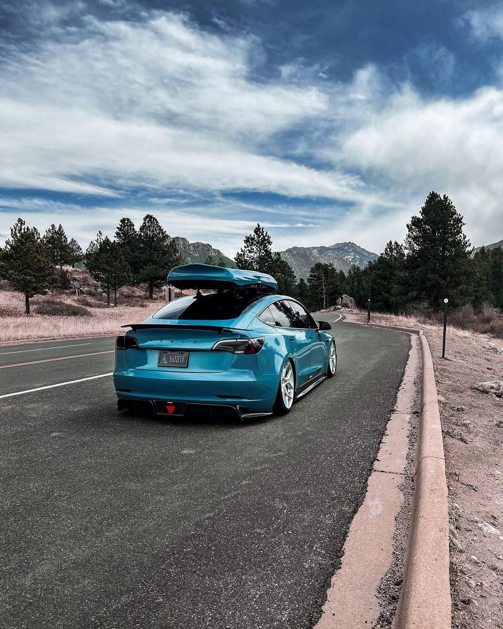 CMST - TESLA MODEL 3 CARBON FIBRE SPOILER V3