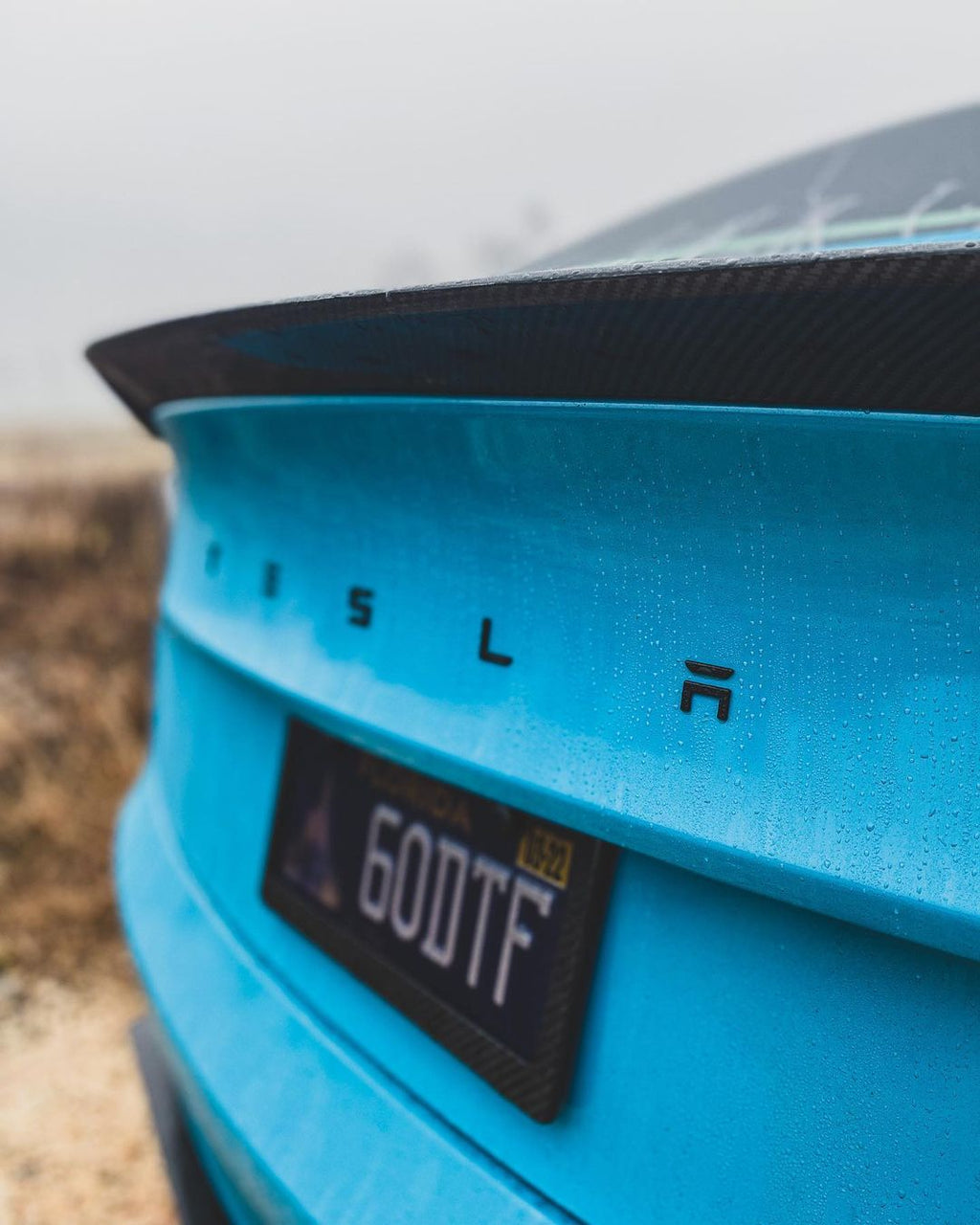 CMST - TESLA MODEL 3 CARBON FIBRE SPOILER V3