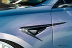 CMST - TESLA MODEL 3 HIGHLAND 2024+ CARBON FIBRE FENDER TRIM