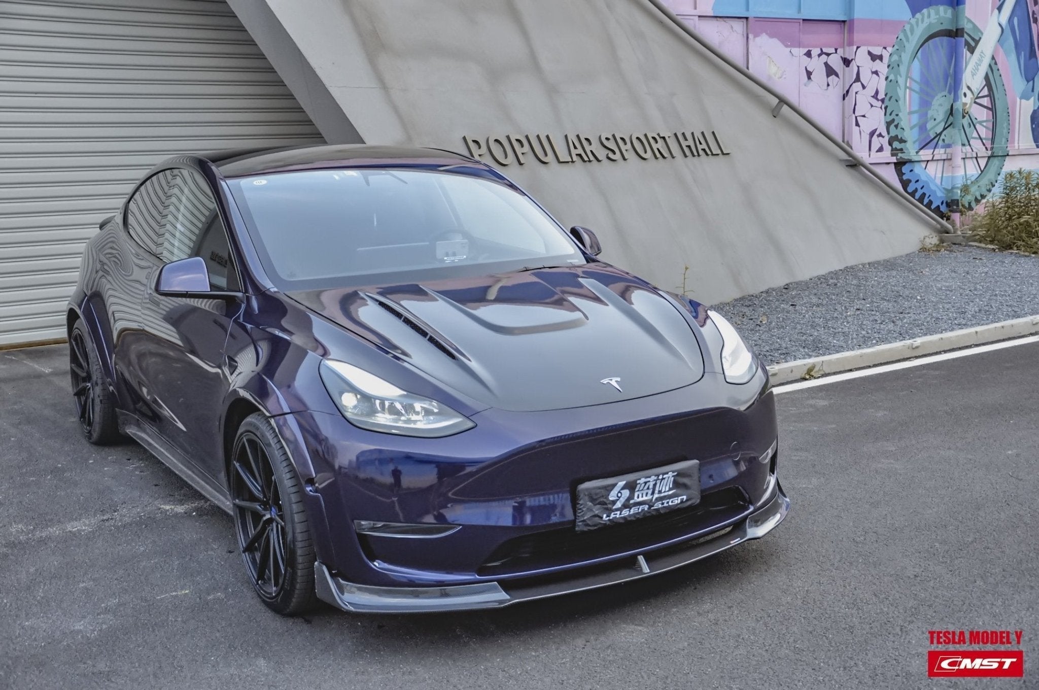 CMST - TESLA MODEL Y CARBON FIBRE SIDE SKIRTS V1