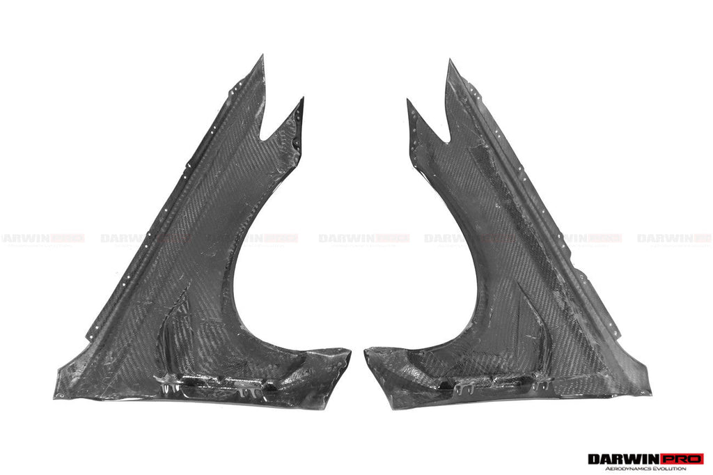 DARWINPRO - AUDI RS6 AVANT C8 2019-2022 CARBON FIBRE FRONT FENDER