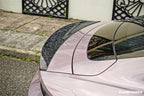 DARWINPRO - PORSCHE TAYCAN 4 / 4S / GTS / TURBO DRY CARBON FIBRE OD STYLE SPOILER