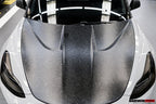 DARWINPRO - TESLA MODEL 3 IMP PERFORMANCE CARBON FIBER HOOD BONNET