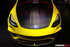 DARWINPRO - TESLA MODEL 3 IMP PERFORMANCE CARBON FIBER HOOD BONNET