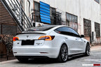 DARWINPRO - TESLA MODEL 3 IMP PERFORMANCE CARBON FIBER SIDE SKIRTS
