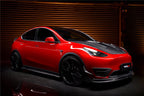 DARWINPRO - TESLA MODEL Y 2020+ IMP PERFORMANCE CARBON FIBER SIDE SKIRTS