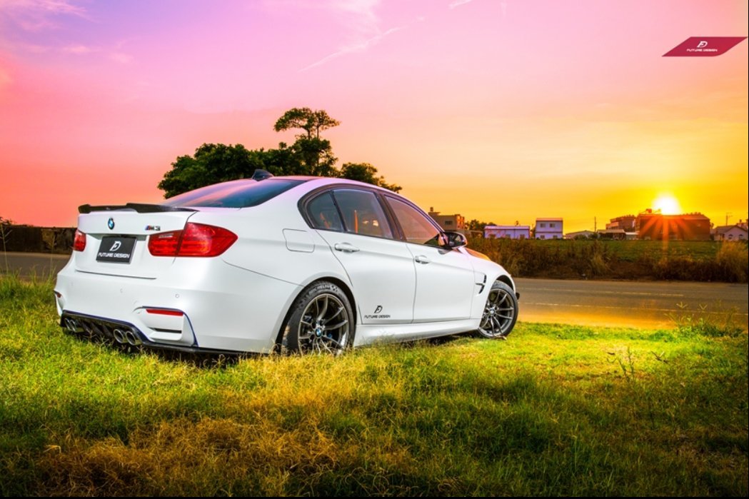 FUTURE DESIGN - BMW M3 F80 / M4 F82 F83 CARBON FIBRE REAR DIFFUSER V1