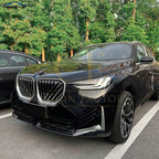 Gloss Black Front Side Grilles for BMW G45 X3 25-Present