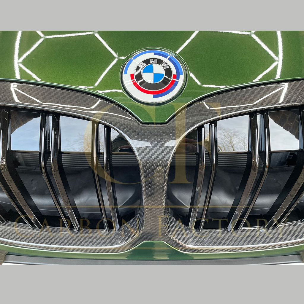 Double Slat Pre-Preg Carbon Fibre Front Grille for BMW F40 1 Series 19-24