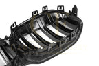 Double Slat Pre-Preg Carbon Fibre Front Grille for BMW F40 1 Series 19-24