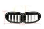 Double Slat Pre-Preg Carbon Fibre Front Grille for BMW F40 1 Series 19-24