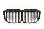Pre-Preg Carbon Fibre Front Grille for BMW G07 X7 Pre-LCI 19-22