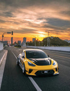 ROBOT - TESLA MODEL 3 HACKER V2 HOOD BONNET